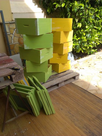 Προετοιμασία καινούριων κυψελών